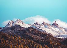 博鱼官网：开启娱乐新纪元的线上体验