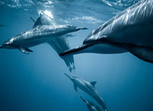 Kaiyun开云中国官网：穿越美学与科技的生活入口